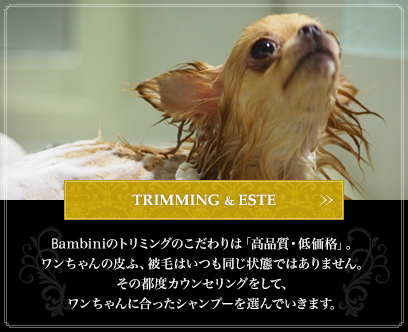 TRIMMING & SHAMPOO:Bambiniのトリミングのこだわりは「高品質・低価格」。ワンちゃんの皮ふ、被毛はいつも同じ状態ではありません。その都度カウンセリングをして、ワンちゃんに合ったシャンプーを選んでいきます。