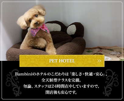 PET HOTEL:Bambiniのホテルのこだわりは「楽しさ・快適・安心」。全天候型テラスを完備。勿論、スタッフは24時間在中していますので、閉店後も安心です。