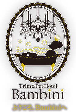 ようこそ、Bambiniへ