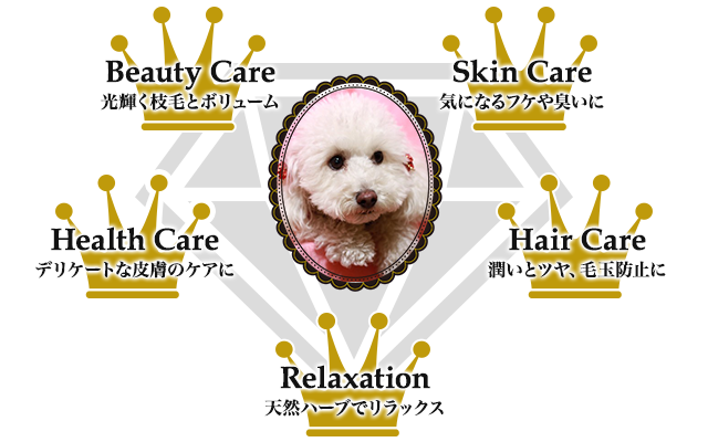 ハーブパックの 5つのメリット！！Beauty Care : Skin Care : Health Care : Hair Care : Relaxation